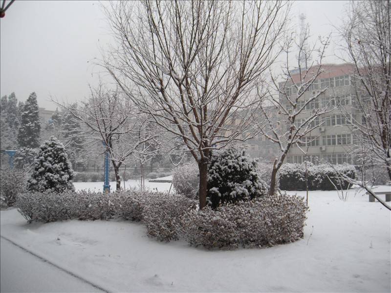 DSCN1890.JPG