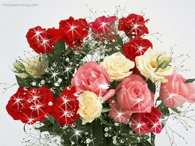 õ�廨��˸.gif