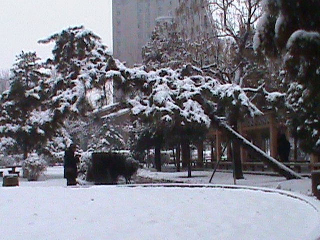 DSC00105.JPG