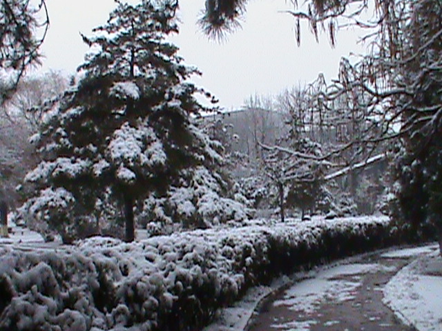 DSC00106.JPG