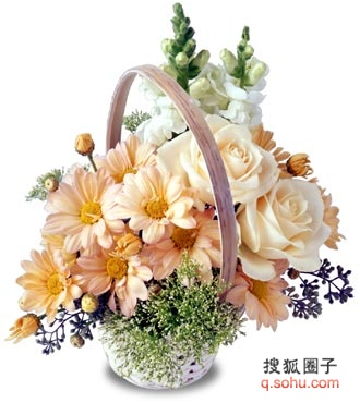 12aee1d294cg215��������.jpg