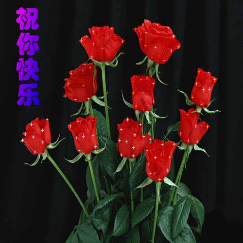 dce24457d08b736b574e00b8.gif