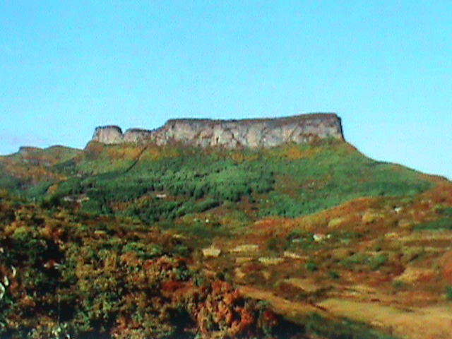 DSC00126.JPG