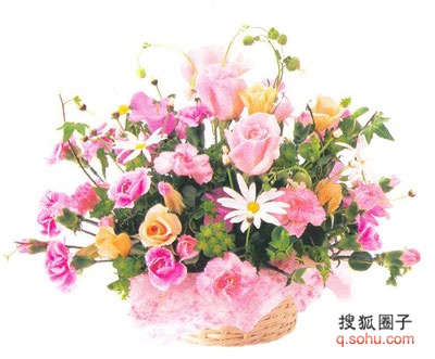 12aee0484edg214��������.jpg