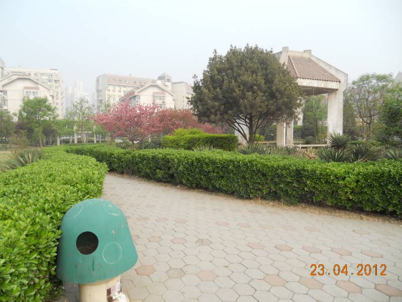 DSCN0335.jpg