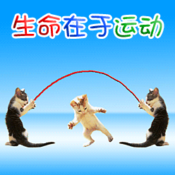 ���������˶�.gif