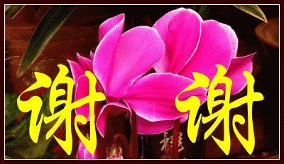 20110111_48380bf97b2df06df34eonwHvx9FHVGv.jpg