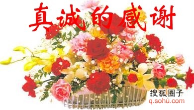 12ae9b4cf05g213��������.jpg
