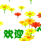 _3488759678724199570��ӭ.gif