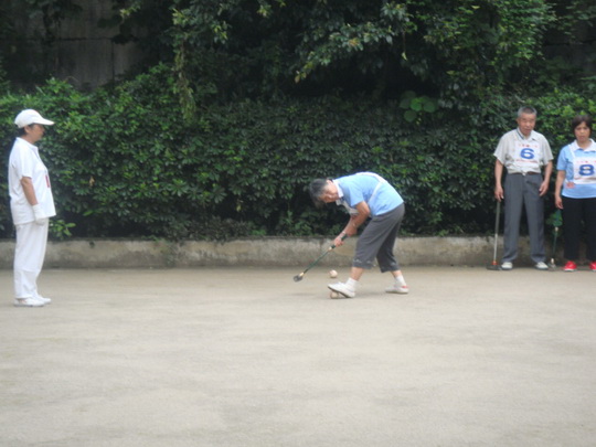 DSC06437.jpg