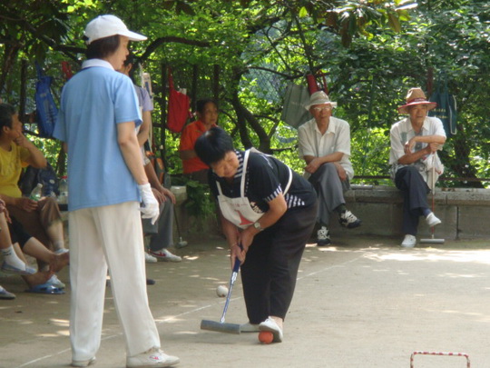 DSC06552.jpg