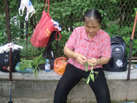 DSC06565.jpg