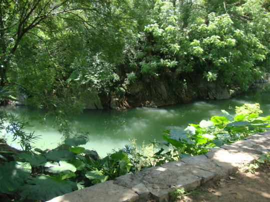 DSC06612.jpg