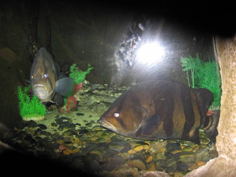 ̨�ݺ�������----70�����2012.9.1 025.jpg