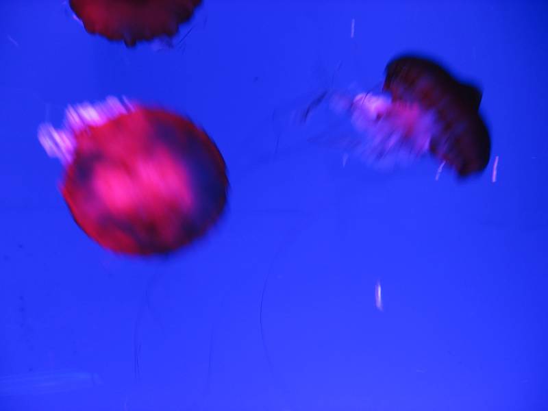 ̨�ݺ�������----70�����2012.9.1 011.jpg