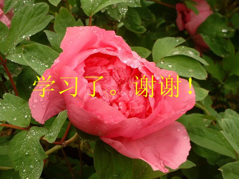 0617002z4jdu0u4fxll044_����.jpg