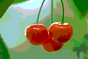 ף���Ŀ���������.gif