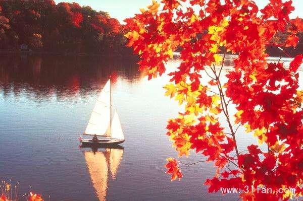 ף���˿���