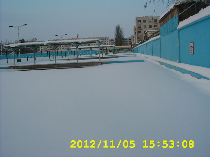 ѩ�������