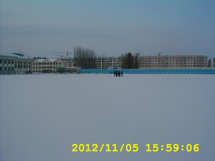 �˶�����Ϊѩԭ