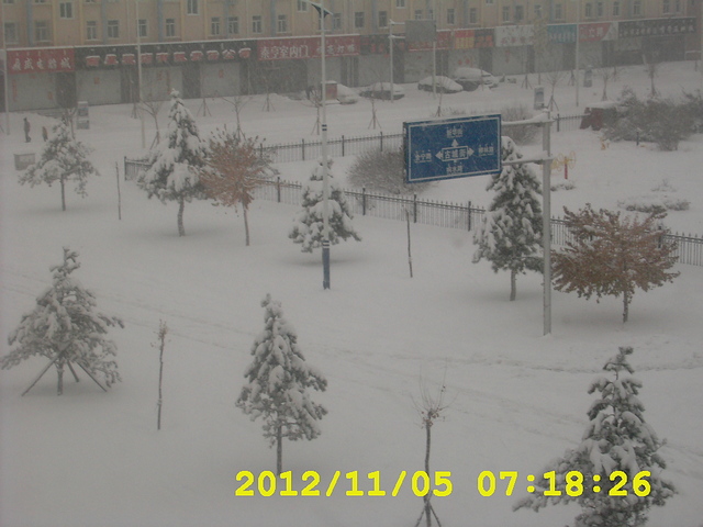 �ھ�������·�ߵ���