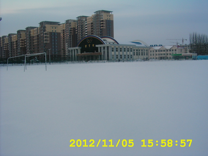 �˶�����Ϊѩԭ