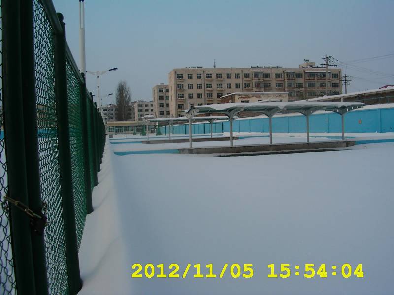 ��ѩ�ӳ���������