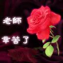 ��ʦ�����ˣ�.gif