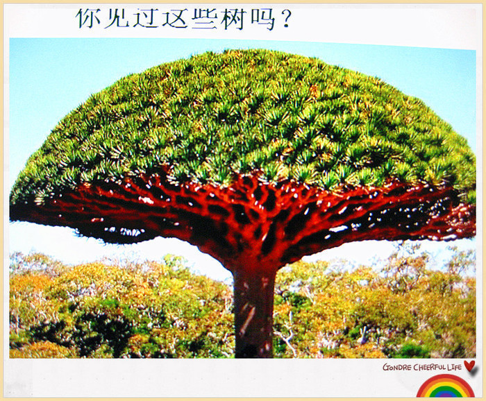 ���� IMG_2242_����.jpg