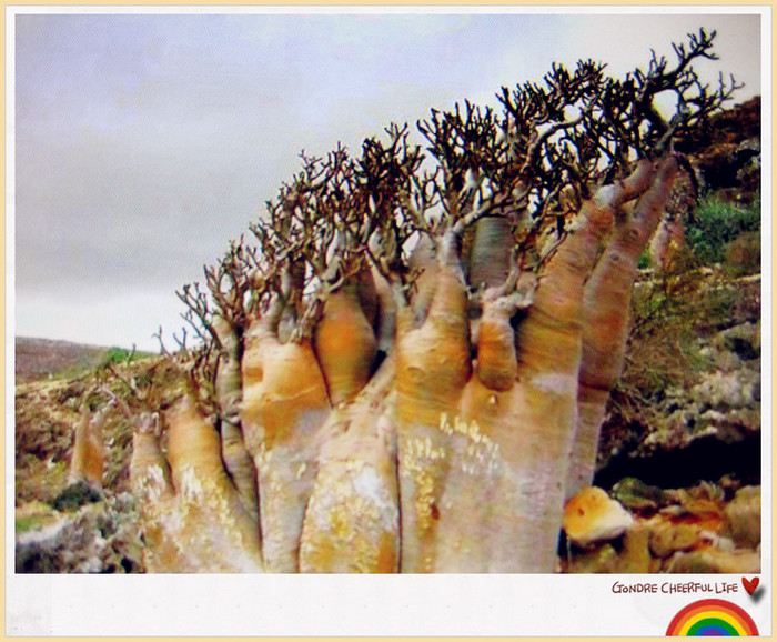 ���� IMG_2245_����.jpg