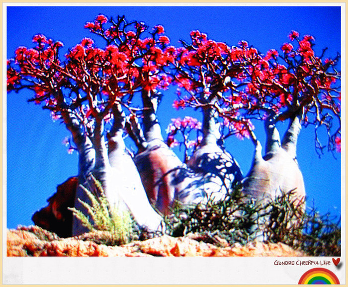 ���� IMG_2246_����.jpg