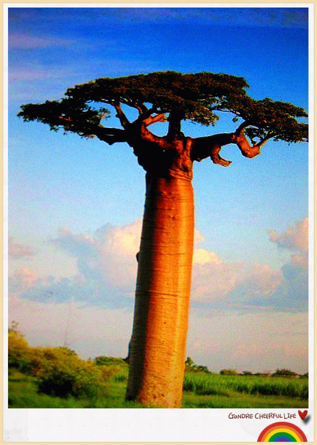 ���� IMG_2247_����.jpg