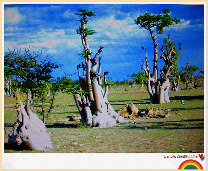 ���� IMG_2252_����.jpg