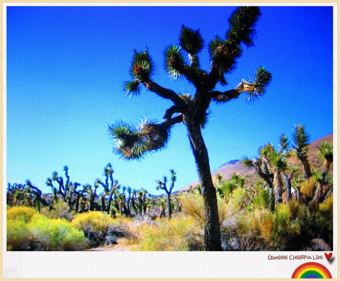 ���� IMG_2253_����.jpg