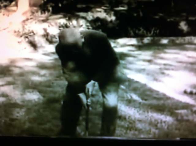 ��ת IMG_1051.jpg