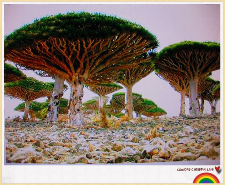 ���� IMG_2249_����_jpg_thumb.jpg