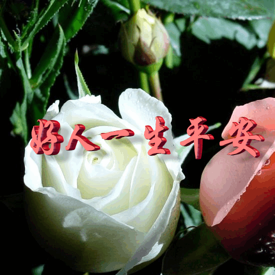 ����һ��ƽ��.gif