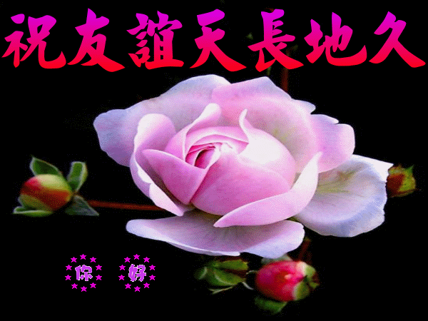 20100323_1d399429f59cc3573cb3xVMbJYiYebWf.jpg