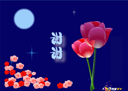 20101016_bea1d0dfb5208507dc93m3ug4mQ8vLb3.gif