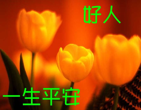 20101030_d91632a336a0c6e8bf80Gi8RaDxnjS6D.jpg