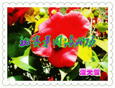 ף����Բ���ɹ���__1.gif