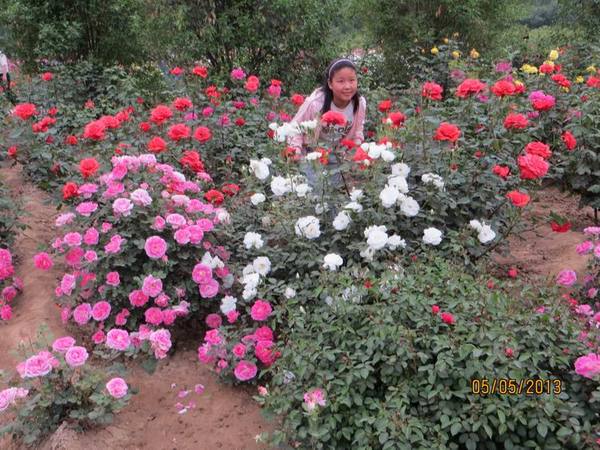 ������С IMG_0834.JPG