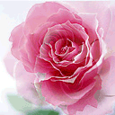 QQͼƬ20130525095447.gif