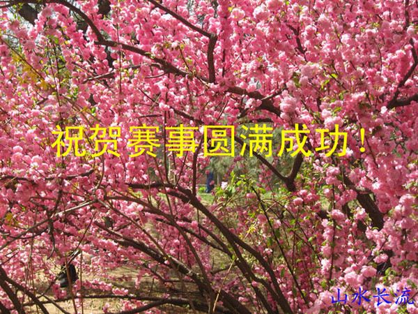 zwy 019_����11.jpg