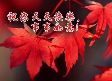 201007102227200471.jpg