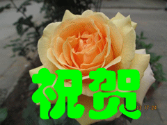 ף��4.gif