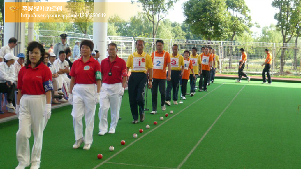 ���������á�������Ҷ����