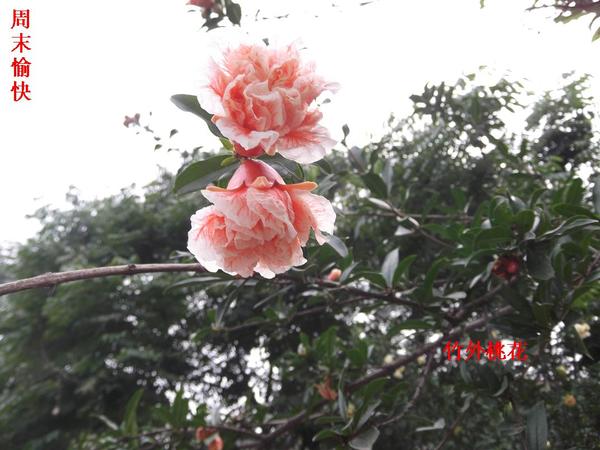 ������ 060.jpg