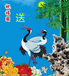 ף��ͼ�͸���ʦ - ����.gif