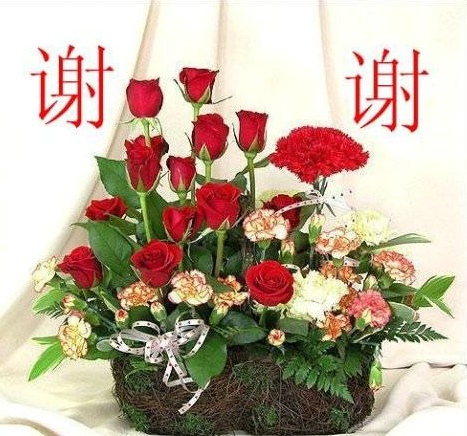 ���� ��������(1).jpg